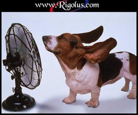 ventilateur