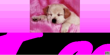lucile