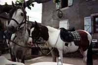KOKA et folie