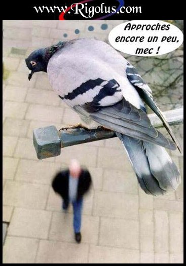 eu...