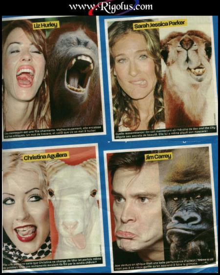 ptite  ressemblances....